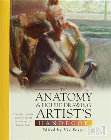 The Anatomy and Figure Drawing Artists Handbook